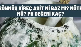 sonmus kirec ph degeri