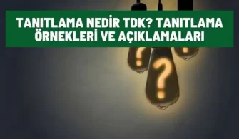 tanitlama nedir tdk anlami