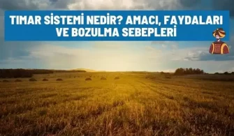 timar sistemi nedir