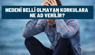 nedeni belli olmayan korkular