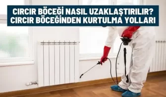 circir bocegi nasil uzaklastirilir