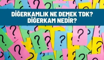 digerkamlik ne demek tdk