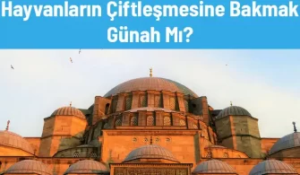 hayvanlarin ciftlesmesine bakmak gunah midir