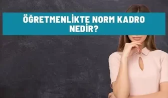 ogretmenlikte norm kadro