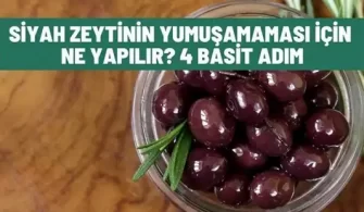siyah zeytinin yumusamasi icin