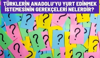 turklerin anadoluyu yurt edinmek istemesinin nedeni