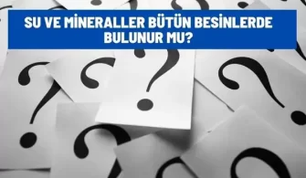 su ve mineraller butun besinlerde bulunur mu