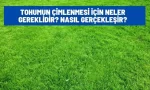 tohumun cimlenmesi icin ne gerekiyor