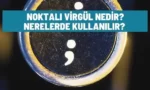 noktali virgul nedir