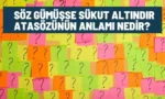 soz gumusse sukut altindir ne demek