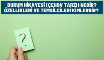 cehov tarzi durum hikayesi nedir