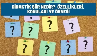 didaktik siir nedir