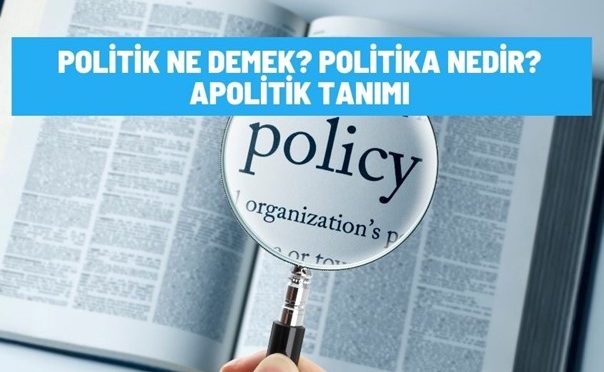 politik ne demek