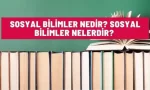 sosyal bilimler nelerdir
