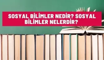 sosyal bilimler nelerdir
