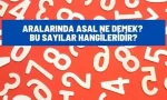 aralarinda asal ne demek