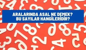aralarinda asal ne demek