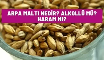 arpa malti nedir