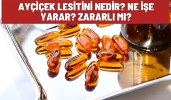 aycicek lesitini nedir