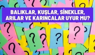 baliklar kuslar sinekler arilar karincalar uyur mu
