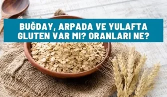 bugday arpada yulafta gluten var mi