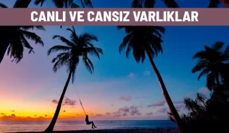canli cansiz varliklar