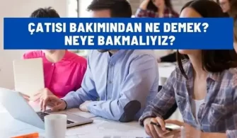 catisi bakimindan ne demek