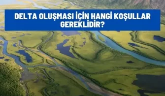 delta olusmasi icin hangi kosullar gerekli