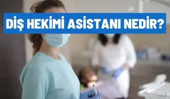 dis hekimi asistani nedir