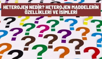 heterojen nedir