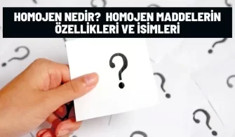 homojen nedir