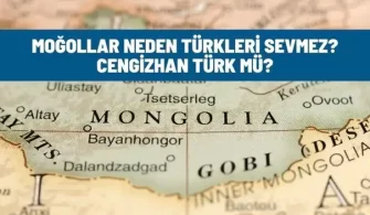 mogollar neden turkleri sevmez