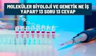 molekuler biyoloji genetik ne is yapar