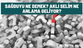 sagduyu ne demek akliselim nedir