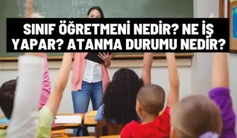 sinif ogretmeni nedir