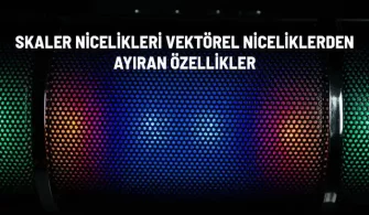 skaler nicelik vektorel nicelik farklari