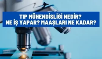 tip muhendisligi nedir