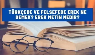 turkcede felsefede erek nedir
