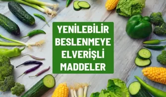 yenilebilir beslenmeye elverisli her madde besin