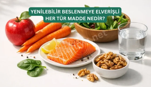 yenilebilir beslenmeye elverisli her turlu madde nedir azik gida nevale