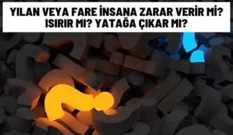 yilan fare insana zarar verir mi