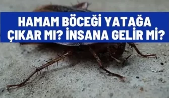 hamam bocegi yataga cikar mi