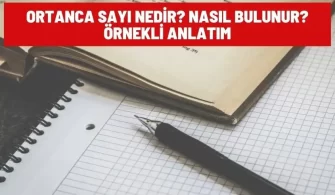 ortanca sayi nedir