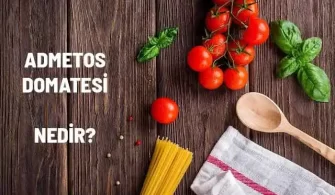 admetos domatesi nedir