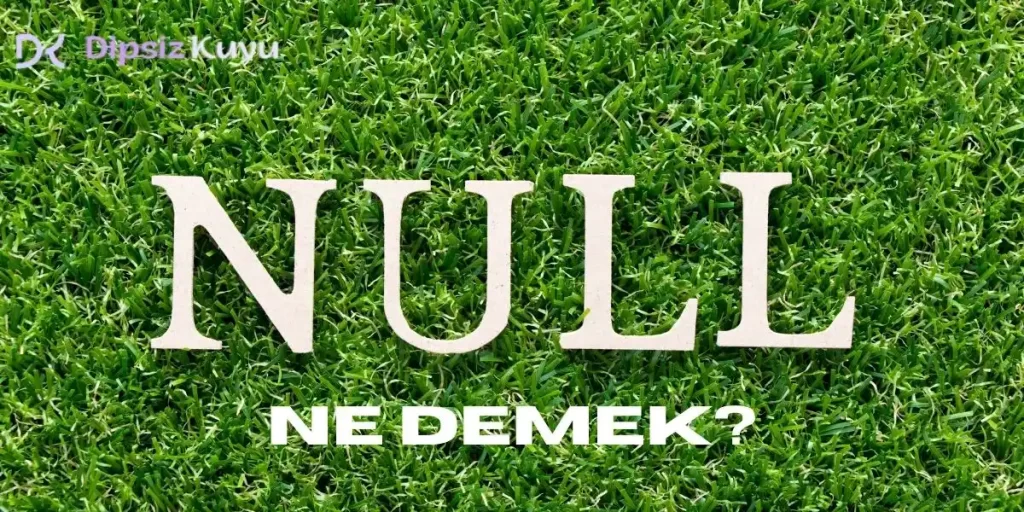 Null Ne Demek? Php, SQL, E-Devlet ve Instagram Null Anlamı 2026