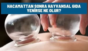 hacamattan sonra hayvansal gida yenirse