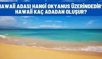 hawaii adasi hangi okyanusta