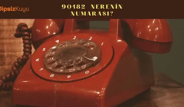 90182 nerenin numarasi