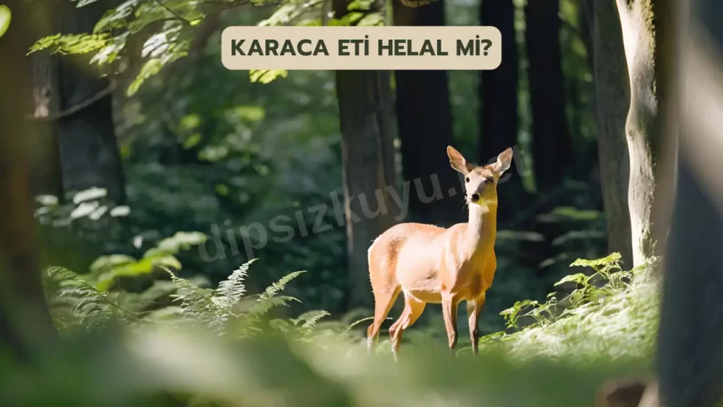 karaca eti helal mi