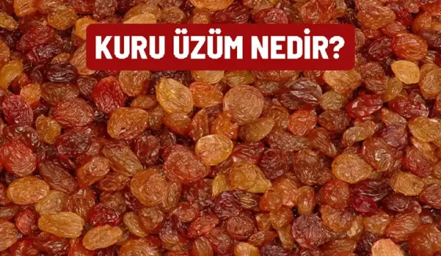 kuru uzum faydalari